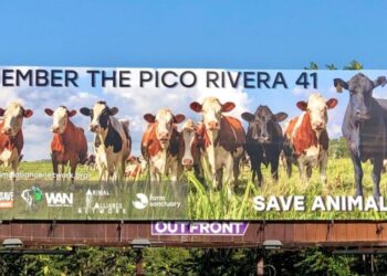 Pico Rivera aims to buy L.A.’s last slaughterhouse to keep other meat processors from moving in