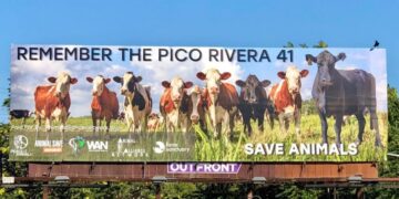 Pico Rivera aims to buy L.A.’s last slaughterhouse to keep other meat processors from moving in