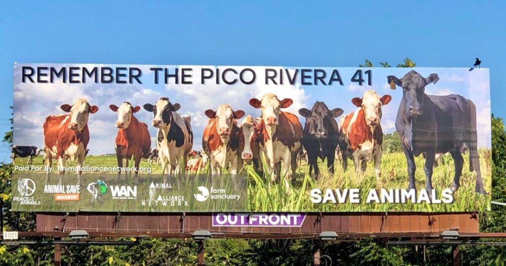 Pico Rivera aims to buy L.A.’s last slaughterhouse to keep other meat processors from moving in