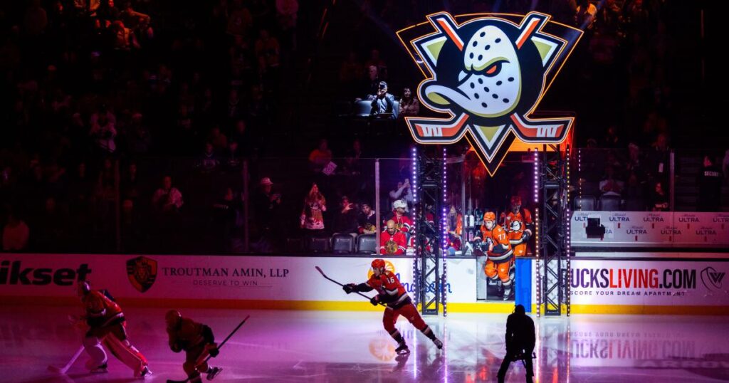 Former employee sues Ducks and NHL for sexual harassment and discrimination