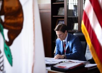 ICE ‘wrongfully detained’ L.A. County D.A.’s office employee, Hochman says