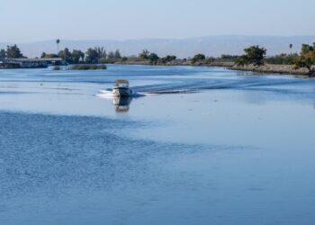 Heated debate over California water plan as environmentalists warn of ‘ecosystem collapse’