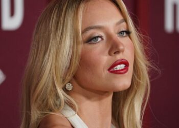 Sydney Sweeney did not have permission to climb the Hollywood sign and hang bras