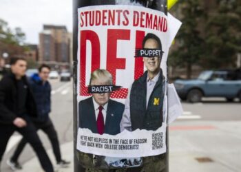 DEI is a path to meritocracy, not an alternative