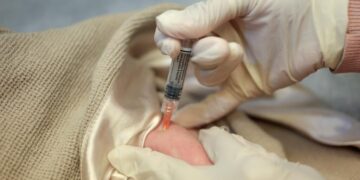 Pediatricians urge Americans to stick with previous vaccine schedule, despite CDC’s recent changes