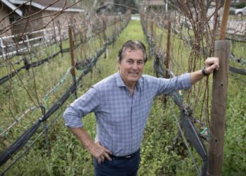 From Rams star to sommelier: Vince Ferragamo turned football lessons into life achievements