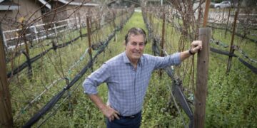 From Rams star to sommelier: Vince Ferragamo turned football lessons into life achievements