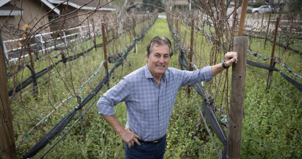 From Rams star to sommelier: Vince Ferragamo turned football lessons into life achievements