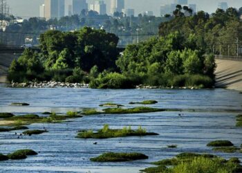 L.A. is ripping up 1,600 acres of pavement — but is it too little, too late?