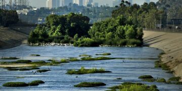 L.A. is ripping up 1,600 acres of pavement — but is it too little, too late?