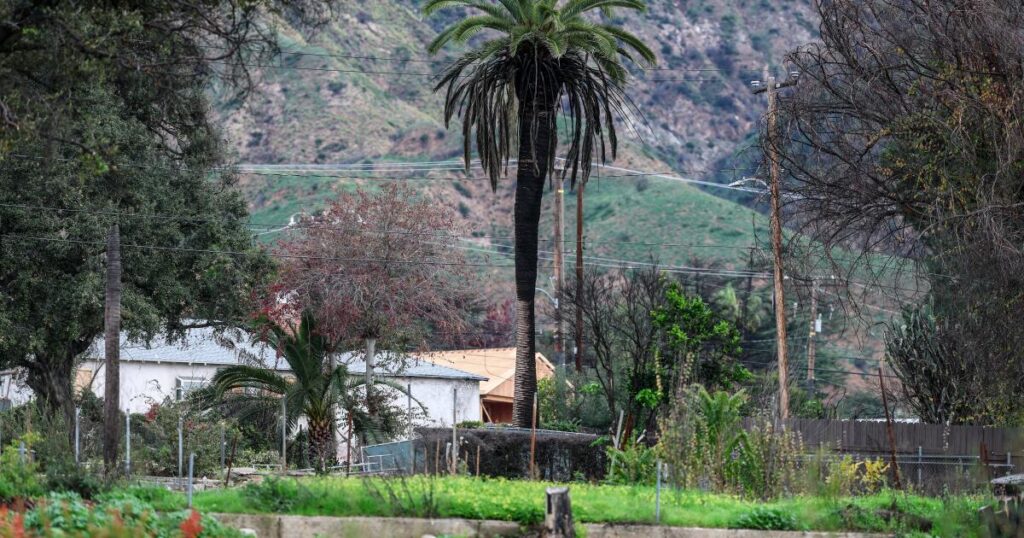 Failures of the past haunt L.A.’s fire recovery agenda for 2026