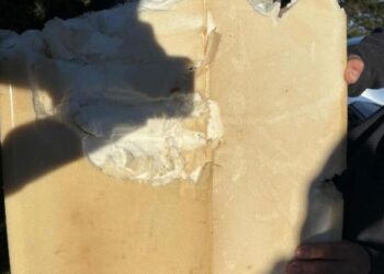 California surfer escapes shark attack that shreds his board and wet suit, drives to the hospital