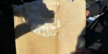 California surfer escapes shark attack that shreds his board and wet suit, drives to the hospital