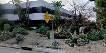 Bay Area semiconductor testing company to lay off more than 200 workers