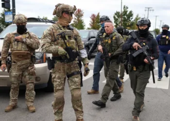 MAGA melts down as Trump’s border enforcer forced out: ‘Tell me it’s not real!’