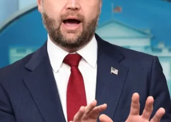 JD Vance may have landed ICE agent in boiling water with ‘utterly ignorant’ remark: expert