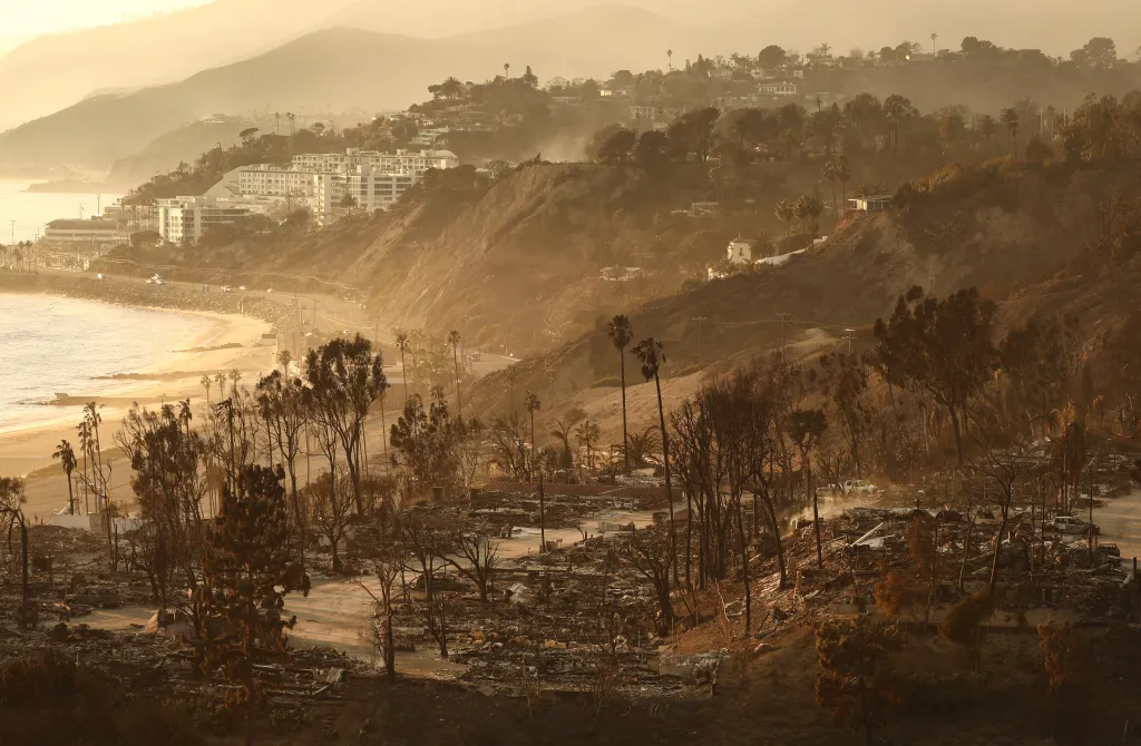 Destroyed homes and scorched trees from the Palisades Fire in Pacific Palisades, California.