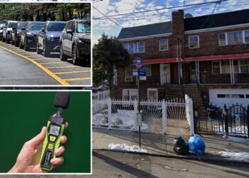 This Bronx nabe was the biggest whiner of 2025 — and these were NYC’s biggest gripes