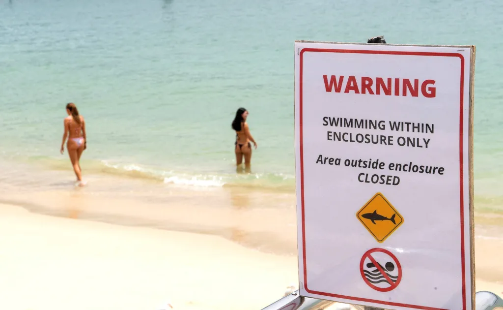 The shark attacked the man's surfboard at Point Plomer, 290 miles north of the New South Wales state capital, around 9 a.m., officials said.