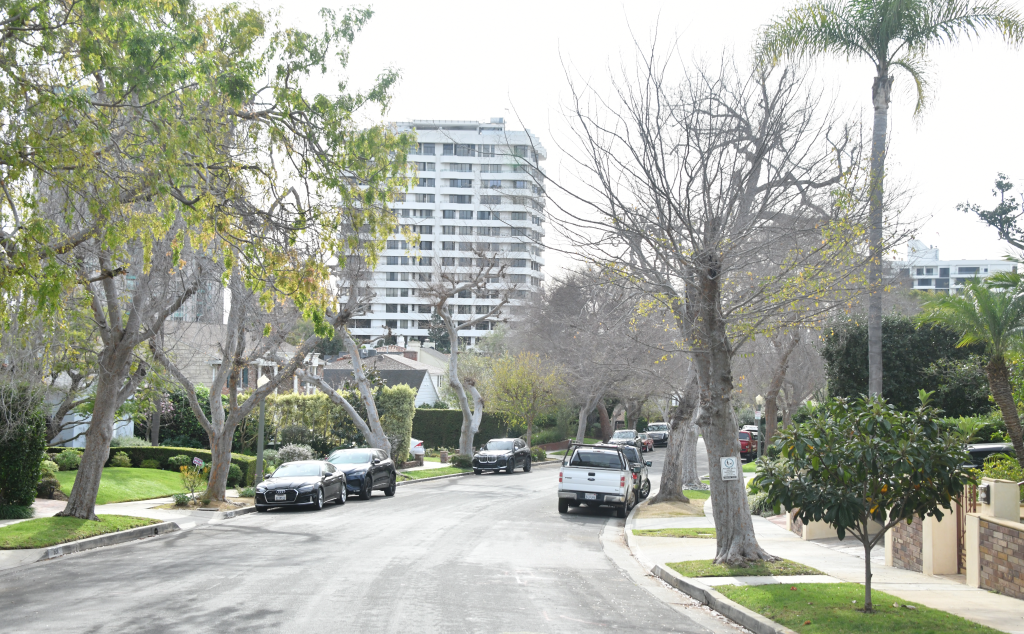 The Westwood, California neighborhood where Alexander Soofer allegedly committed fraud.