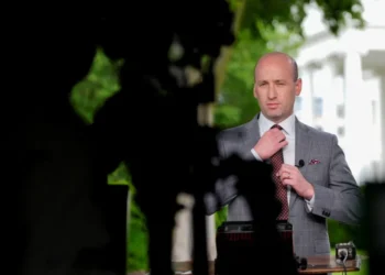 ‘Just a pathetic little man’: Stephen Miller lambasted as columnist refuses to hold back