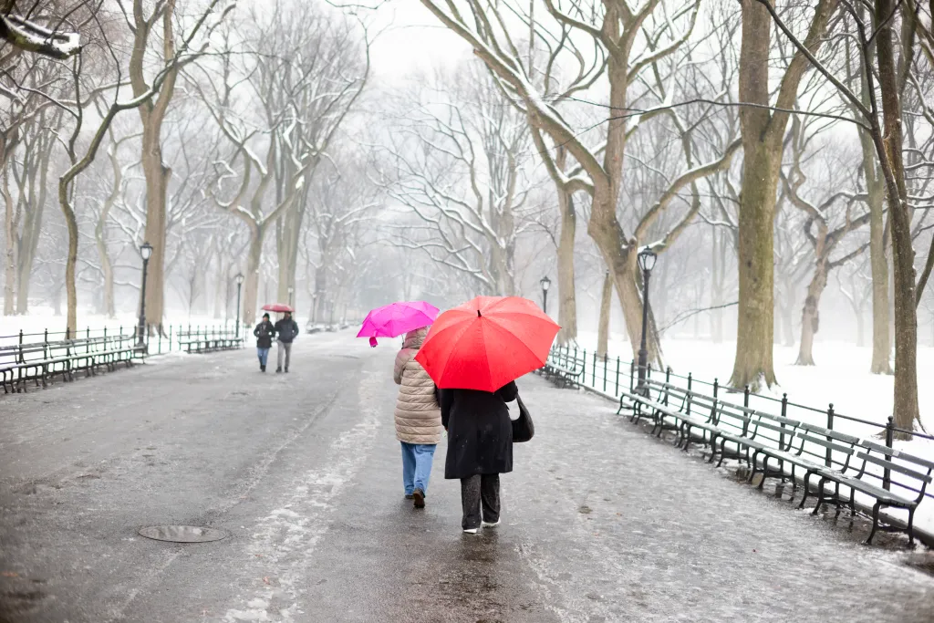 People walking with umbrellas on a snowy path in Central Park.
