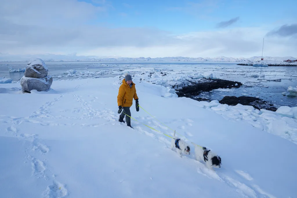 A woman walks her two dogs on a snow-covered beach in Nuuk, Greenland.