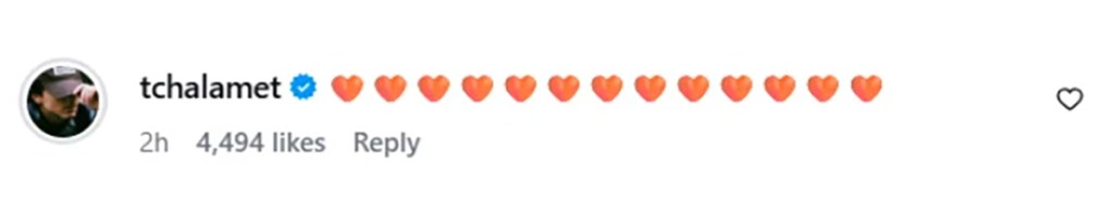 Timothee Chalamet's Instagram comment with 13 orange heart emojis and 4,494 likes.