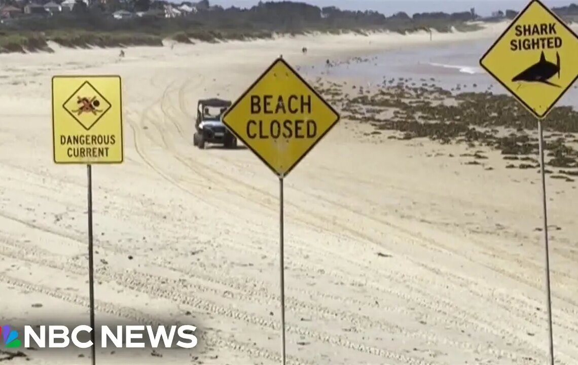 Australia Closed Dozens of Beaches After Four Shark Attacks in Two Days