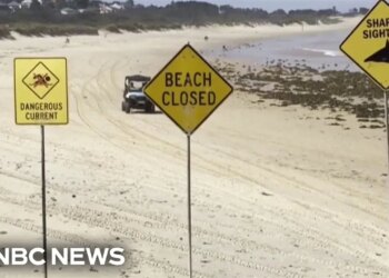 Australia Closed Dozens of Beaches After Four Shark Attacks in Two Days