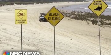 Australia Closed Dozens of Beaches After Four Shark Attacks in Two Days