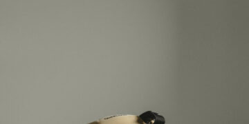 The Questionable Science Behind the Odd-Looking Football Helmets