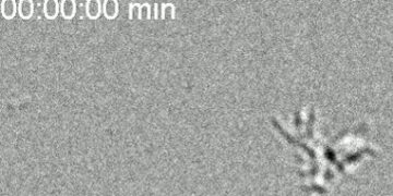 How Microbes Got Their Crawl