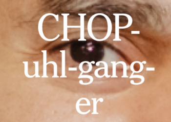 Test Your Internet Brain. Can You Use ‘Choppelganger’ in a Sentence?