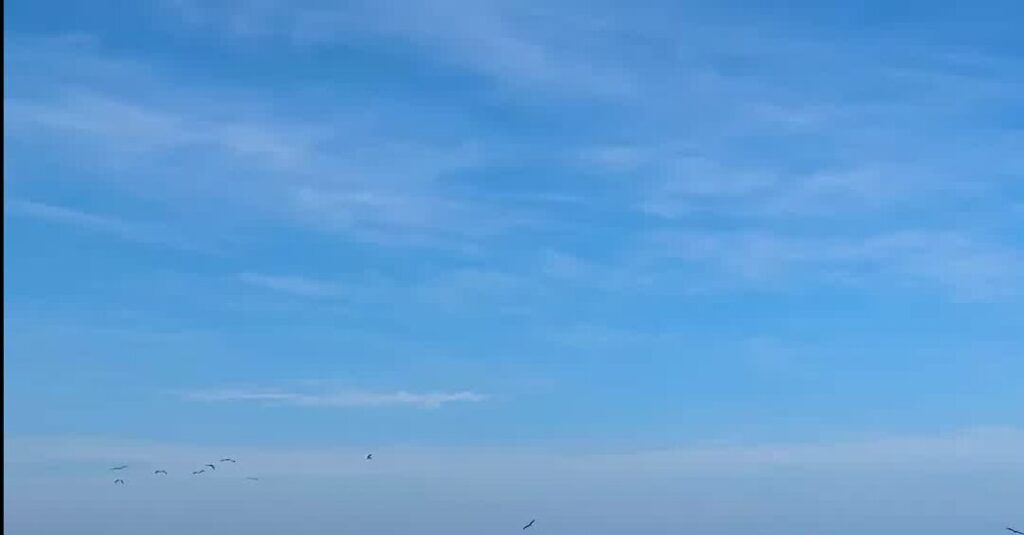 Surf Shacks and Ocean Breezes: Welcome to Riviera Nayarit