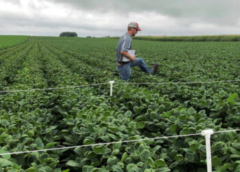 E.P.A. Re-approves Controversial Herbicide That Drifts to Nearby Land