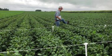 E.P.A. Re-approves Controversial Herbicide That Drifts to Nearby Land