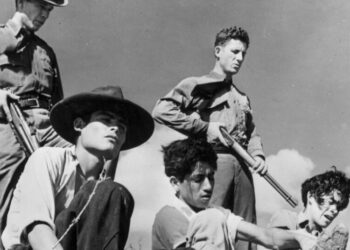 Pretti Shooting Thrusts Border Patrol’s History of Aggressive Tactics Into View