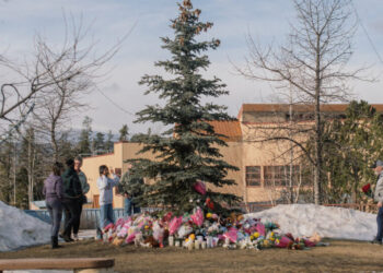 Canada Probing What OpenAI Knew About Tumbler Ridge Shooter