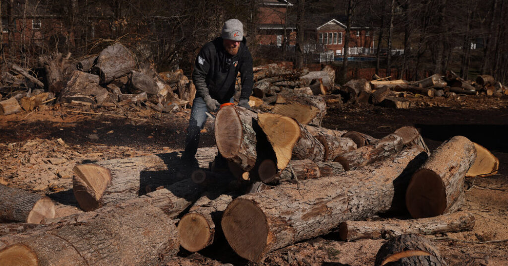 Shivering Americans Snap Up Firewood as Winter Grinds On