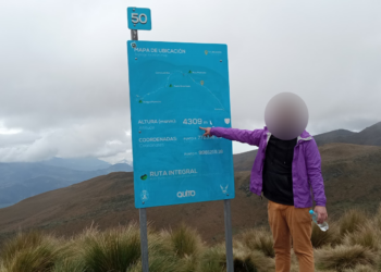 ‘I Was Snorting 5 Grams a Day’: The Wild Life of a Cocaine-Addicted UN Worker