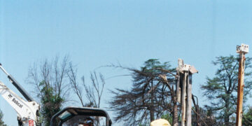 A Chimney in Search of a Home Lands 3,000 Miles Away