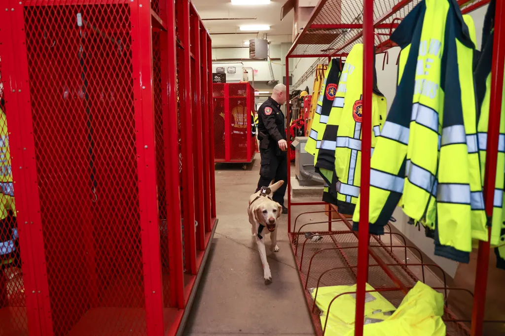 A Nassau County Fire Marshal K-9 unit handler and dog walk through a room with red lockers and hanging safety vests.