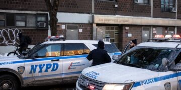 Woman’s Dismembered Body Is Found in a Brooklyn Basement, Officials Say