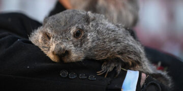 It’s Cold. Punxsutawney Phil Did Not Bring Good News for the U.S.