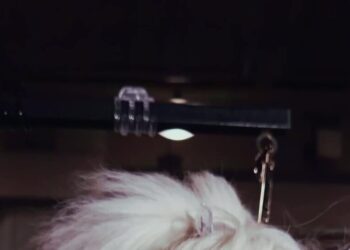 Behind the Scenes at the 150th Westminster Dog Show