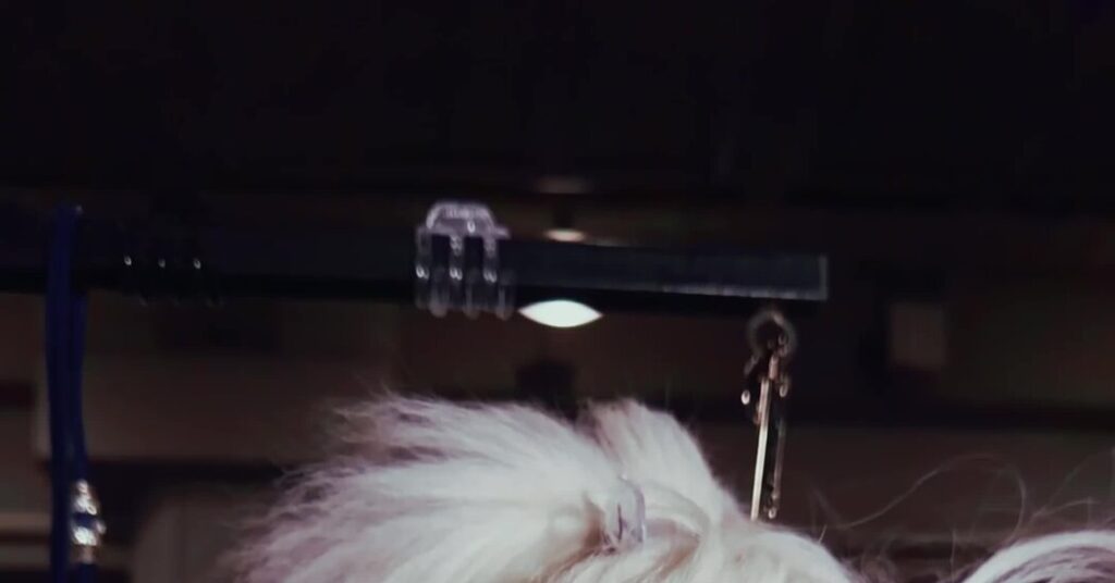 Behind the Scenes at the 150th Westminster Dog Show