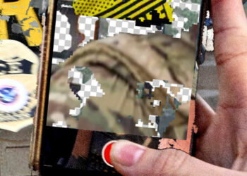 Democracy Dies by Database