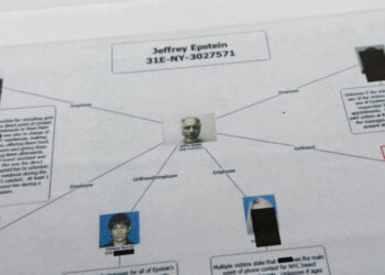 Epstein Files Reveal Name of Woman Who Accused Alexander Brothers