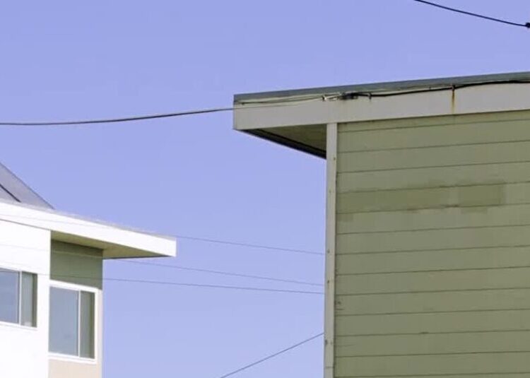 Instead of Battling Trump, San Francisco’s Mayor Is Sweating the Small Stuff